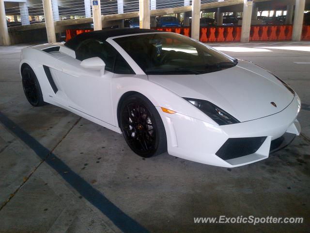 Lamborghini Gallardo spotted in Hollywood, Florida