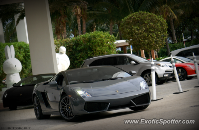 Lamborghini Gallardo spotted in Miami, Florida