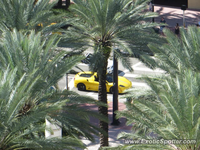 Ferrari F430 spotted in Miami Beach, Florida