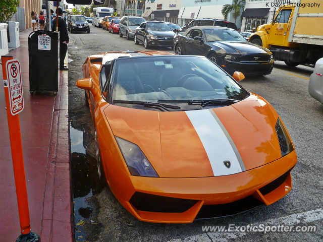 Lamborghini Gallardo spotted in Miami Beach, Florida