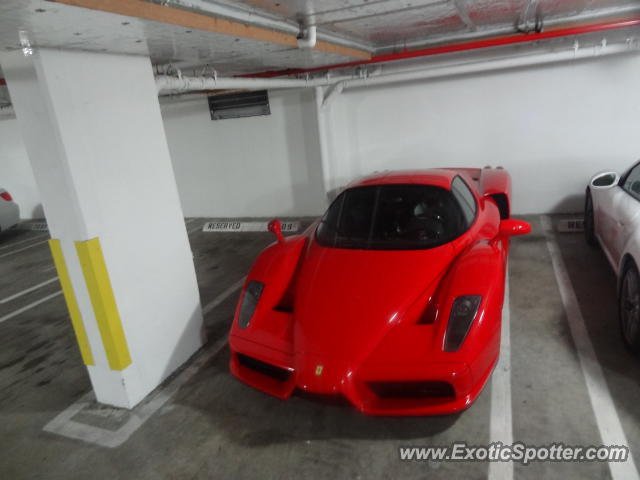 Ferrari Enzo spotted in Miami Beach, Florida