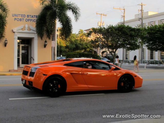 Lamborghini Gallardo spotted in Palm Beach, Florida