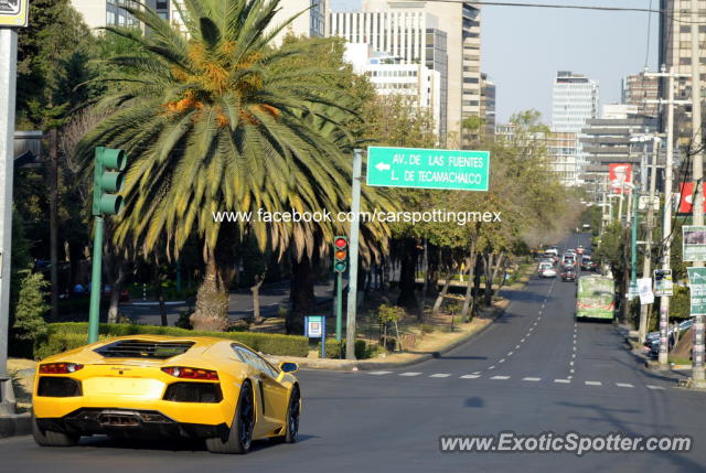 Lamborghini Aventador spotted in Mexico City, Mexico