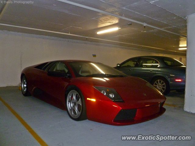 Lamborghini Murcielago spotted in Boca Raton, Florida