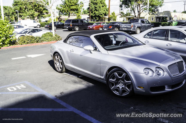 Bentley Continental spotted in Orange, California