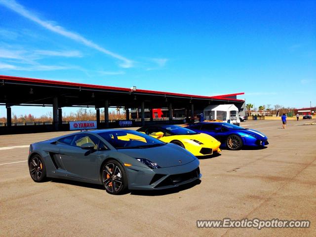 Lamborghini Gallardo spotted in Westbank, Louisiana