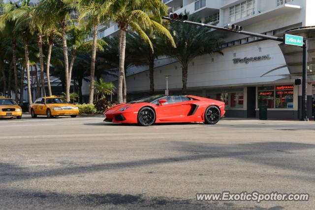 Lamborghini Aventador spotted in Miami, Florida