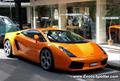 Lamborghini Gallardo