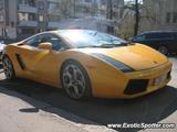 Lamborghini Gallardo