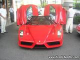 Ferrari Enzo