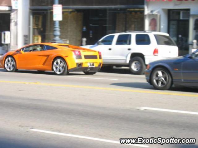 Lamborghini Gallardo spotted in Beverly hills, California
