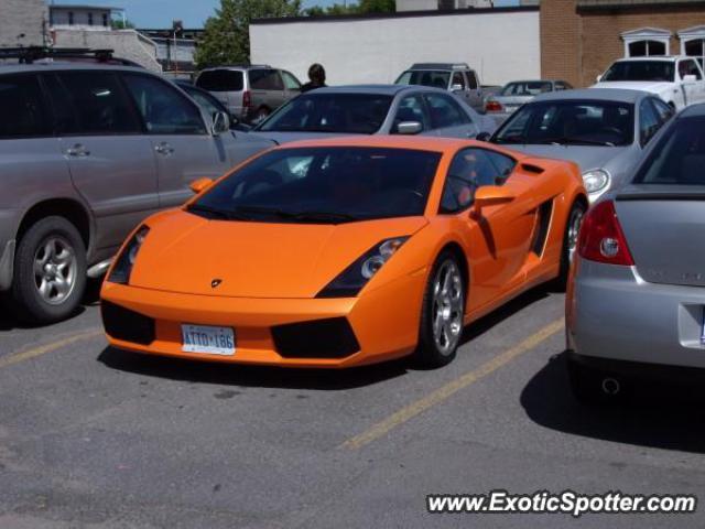 Lamborghini Gallardo spotted in Kingston, Canada