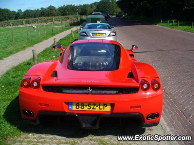 Ferrari Enzo spotted in N.V.T, Netherlands