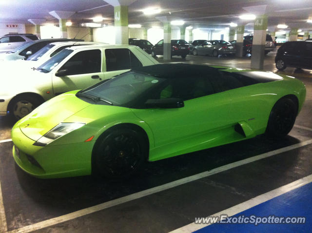 Lamborghini Murcielago spotted in Johannesburg, South Africa