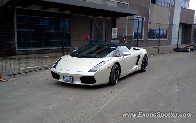 Lamborghini Gallardo spotted in Port Credit, Canada