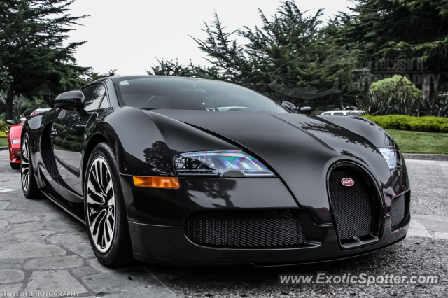 Bugatti Veyron spotted in Pebble Beach, California