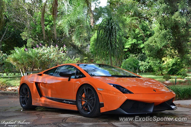 Lamborghini Gallardo spotted in Brasilia, Brazil