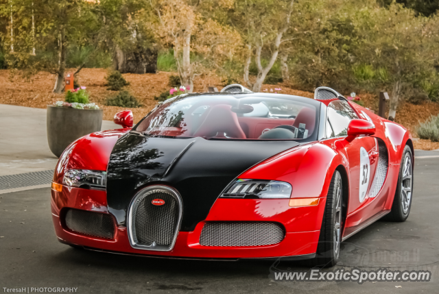 Bugatti Veyron spotted in Monterey, California