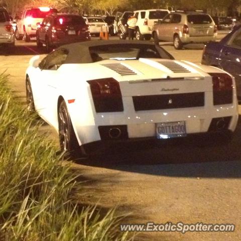 Lamborghini Gallardo spotted in Sunrise, Florida