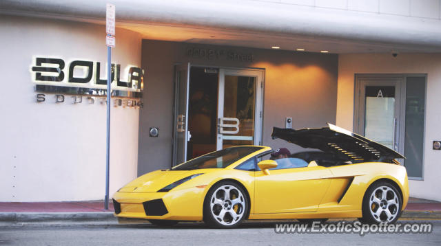 Lamborghini Gallardo spotted in Miami, Florida