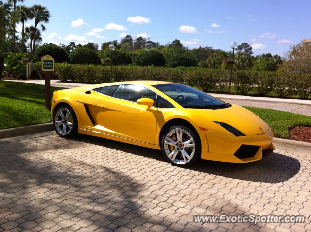 Lamborghini Gallardo spotted in Orlando, Florida
