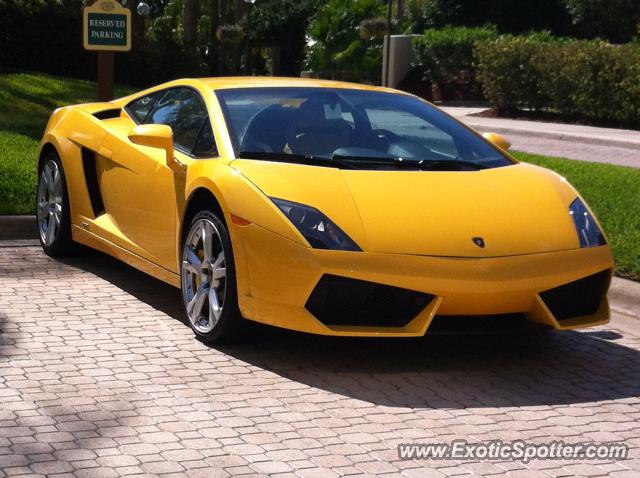Lamborghini Gallardo spotted in Orlando, Florida