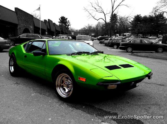 DeTomaso Pantera2 spotted in Cross River, New York