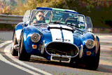 Shelby Cobra