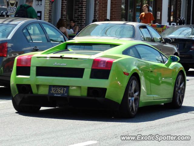 Lamborghini Gallardo spotted in Newark, Delaware