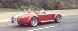 Shelby Cobra