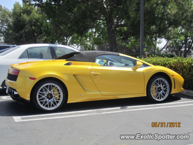 Lamborghini Gallardo spotted in Carmel Valley, California