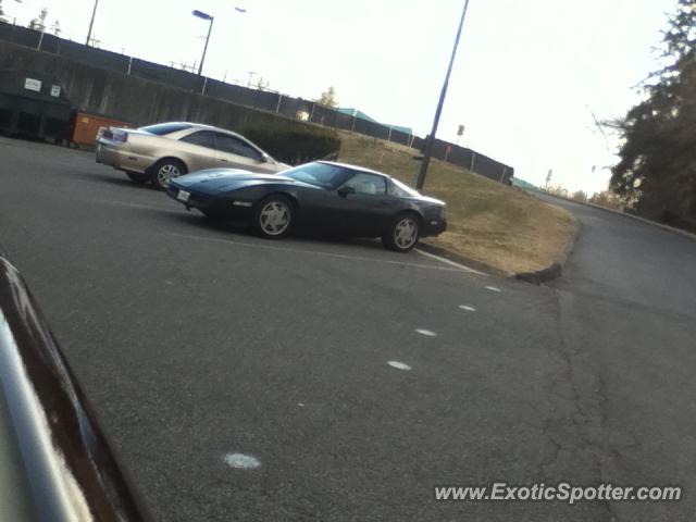 Chevrolet Corvette Z06 spotted in Rockville, Maryland