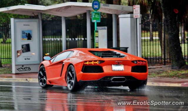 Lamborghini Aventador spotted in Miami, Florida