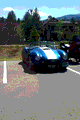 Shelby Cobra