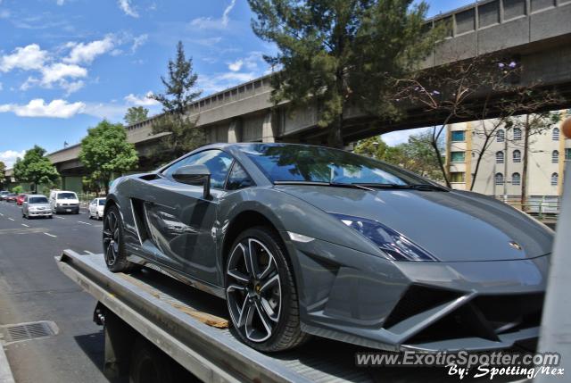 Lamborghini Gallardo spotted in Ciudad de México, Mexico