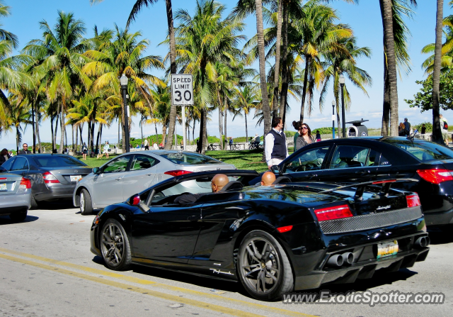 Lamborghini Gallardo spotted in Miami, Florida
