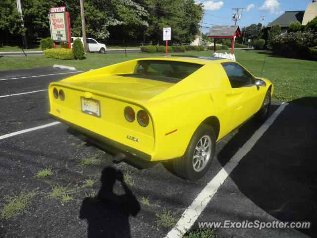 Other Kit Car spotted in Long Branch, New Jersey