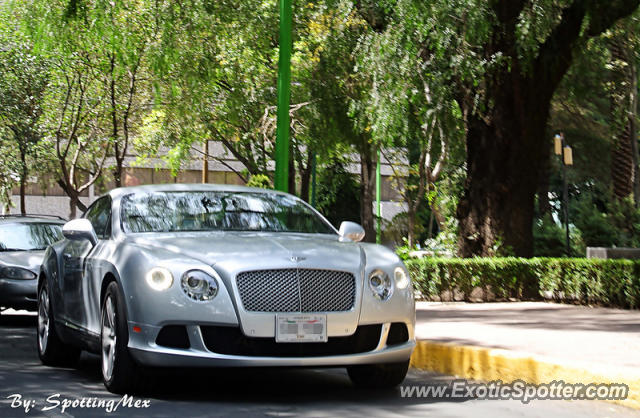Bentley Continental spotted in Ciudad de México, Mexico