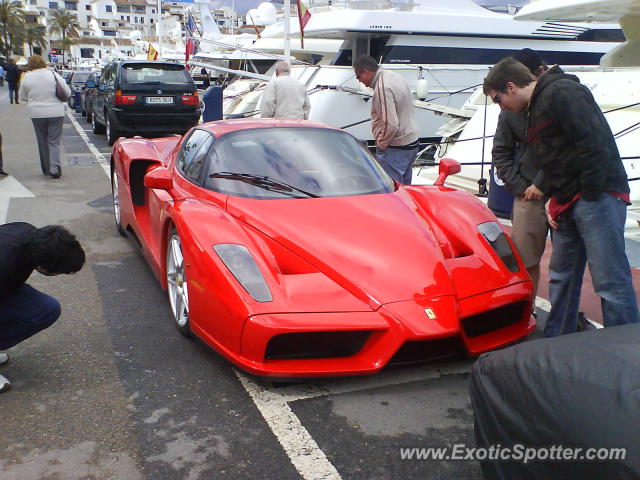 Ferrari Enzo spotted in Banus, Spain