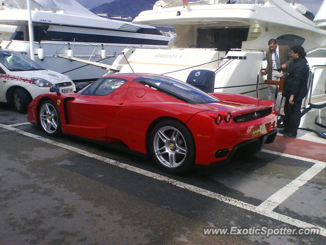 Ferrari Enzo spotted in Banus, Spain