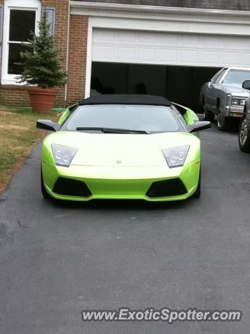 Lamborghini Murcielago spotted in Rockville, Maryland