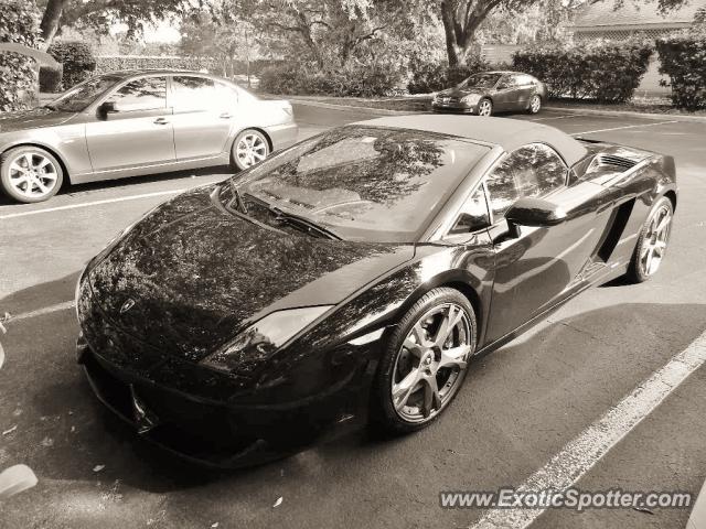 Lamborghini Gallardo spotted in Celebration, Florida