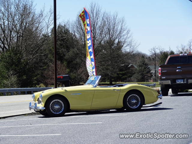 Other Vintage spotted in Harrisburg, Pennsylvania