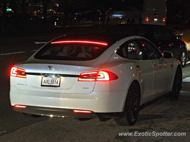 Tesla Model S spotted in Orlando, Florida