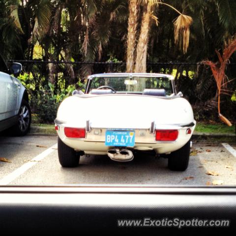 Jaguar E-Type spotted in Boca Raton, Florida