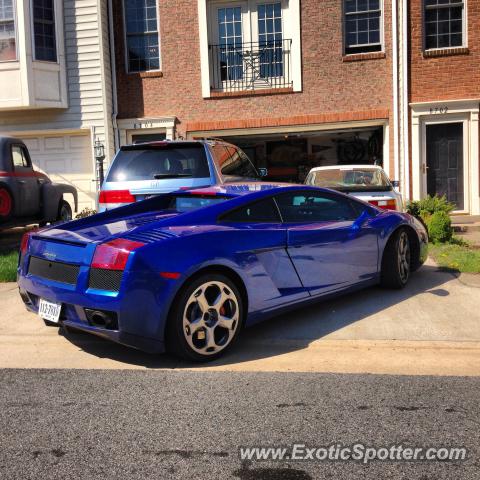 Lamborghini Gallardo spotted in Manassas, Virginia