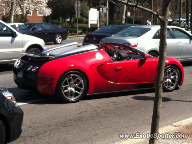 Bugatti Veyron spotted in Bethesda, Maryland