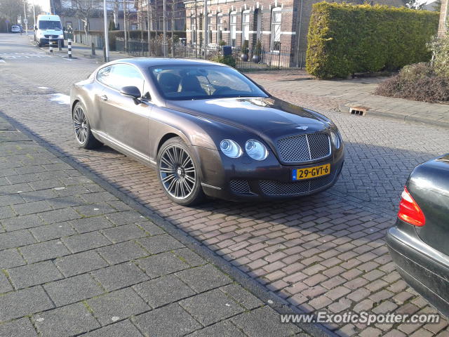 Bentley Continental spotted in Hellevoetsluis, Netherlands