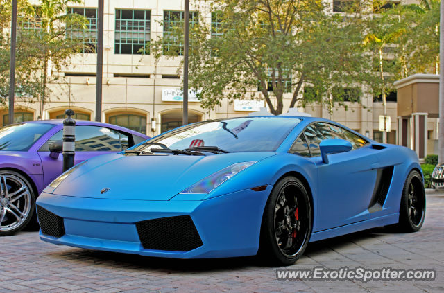 Lamborghini Gallardo spotted in Ft Lauderdale, Florida