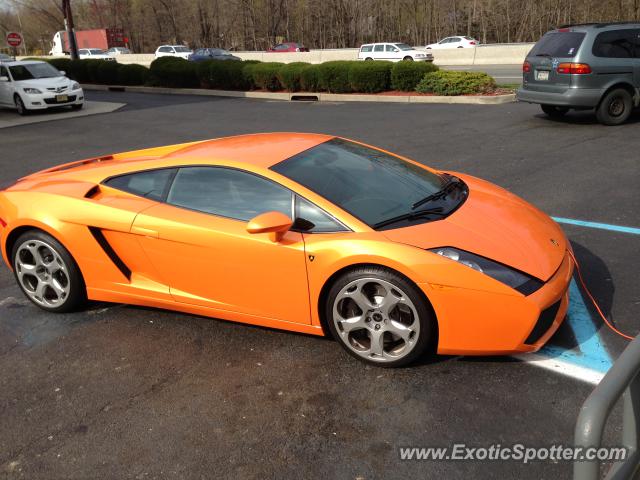 Lamborghini Gallardo spotted in Paramus, New Jersey